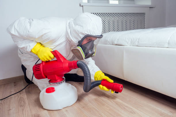 Professional Pest control in Rock Island, WA